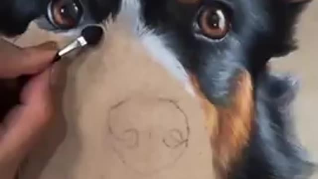 This Dog's Painting Is So Good It Could Make You Cry #shorts #dog