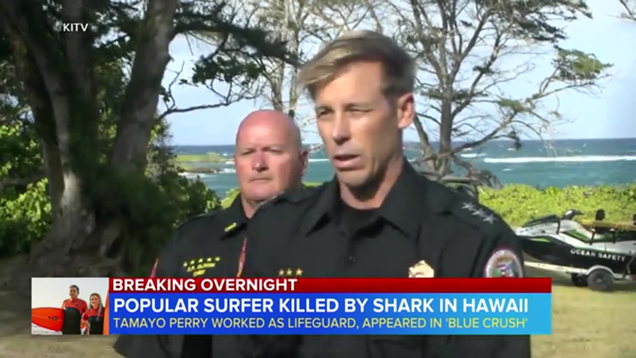 Popular surfer Tamayo Perry killed by shark in Hawaii ABC News