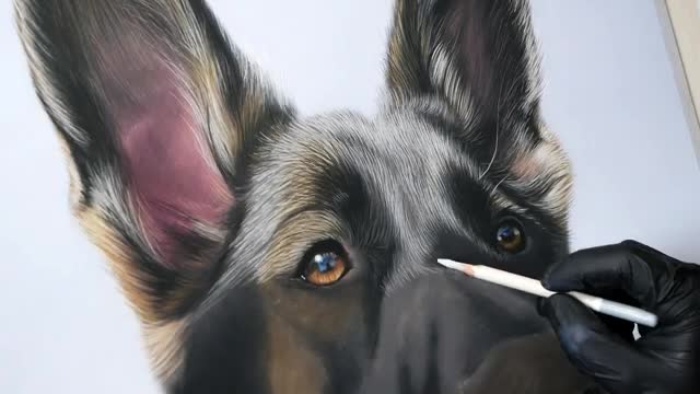 How to Draw a DOG using Soft Pastels | BEGINNER+