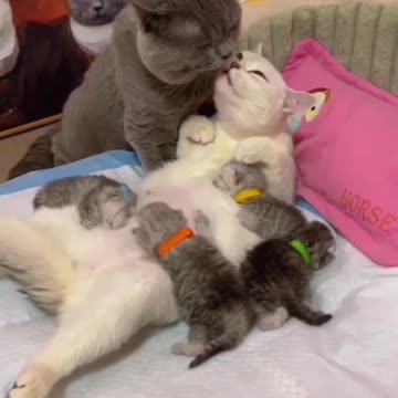 What every man wants