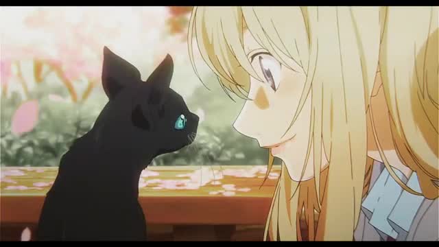 Kaori edit / SOLO