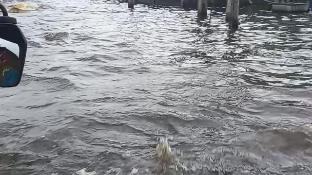 Flood in Nigeria