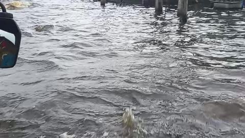 Flood in Nigeria