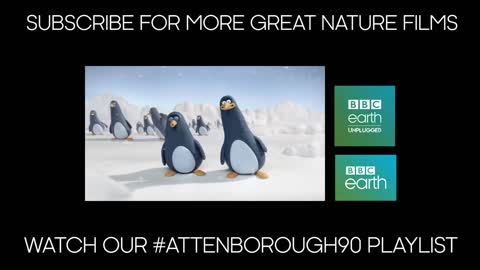 Explaining the Tree of Life | BBC Earth