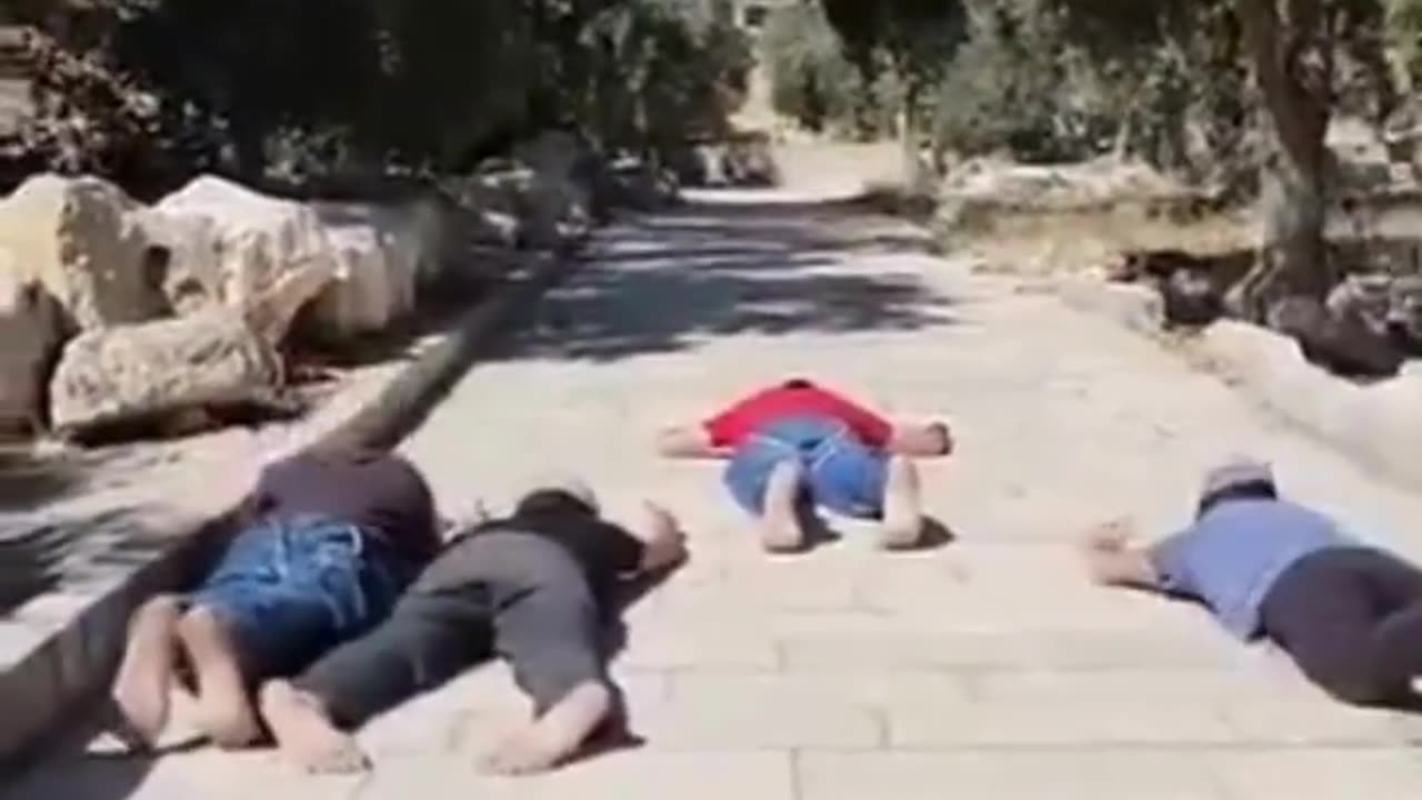 Israeli settlers storm Al-Aqsa