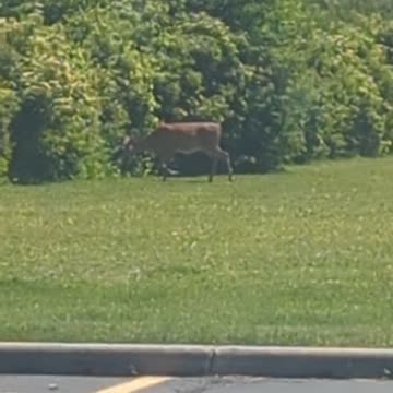 Hunting season upon us