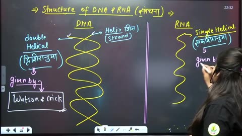 8 cell biology 7