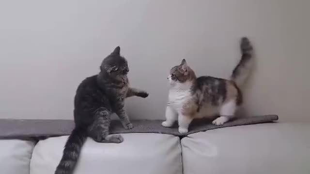 y o u keep trying to fight but your arms are too short ...