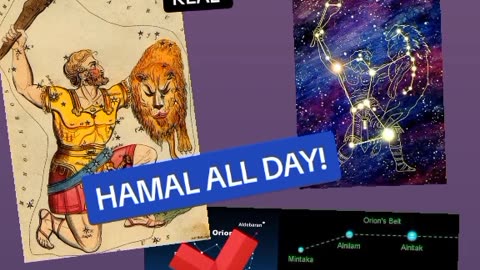 HAMAL THE HEAD