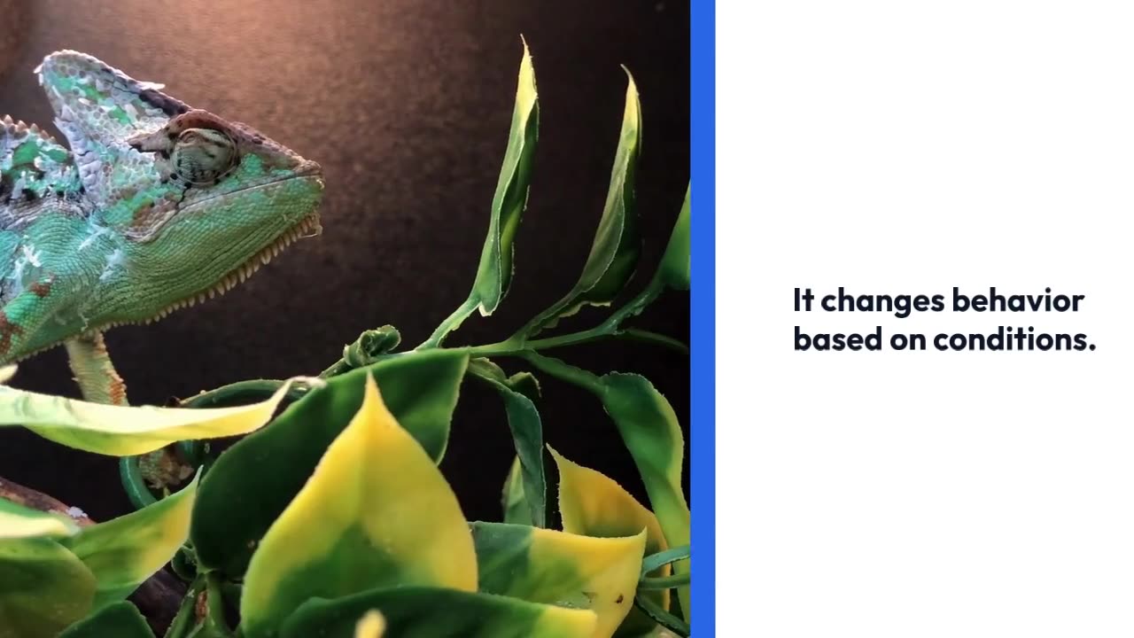 Newly Developed “Chameleon” Chemical Could Revolutionize Rare-Earth Metal Purification