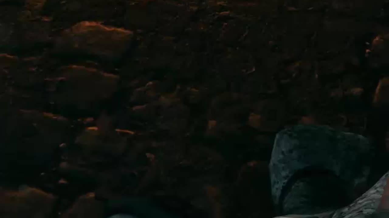 I Was Reading What The Buttons Did