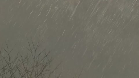 Snow falling from the sky