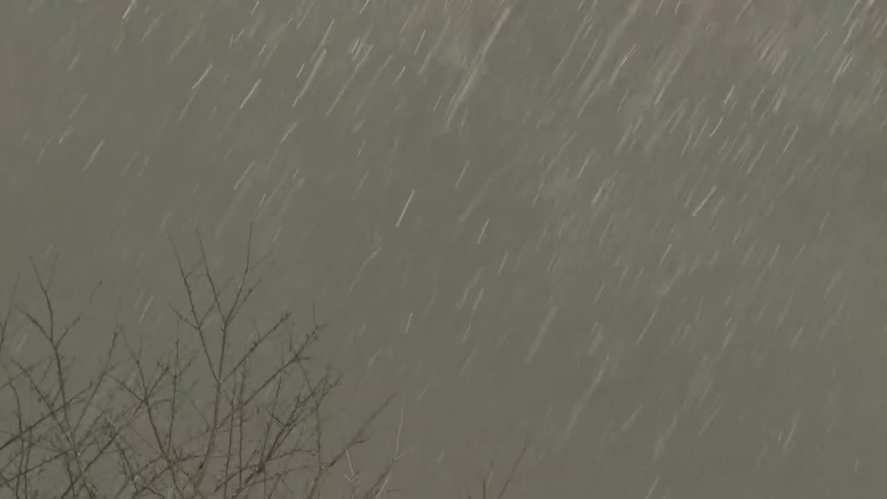 Snow falling from the sky