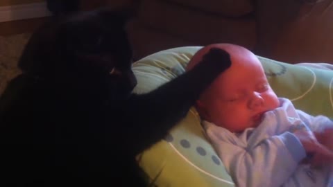 Cat soothing a crying baby to sleep