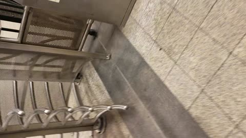 Man talking to rat going down stairs into subway