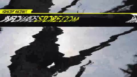 No One Fights For America Like Alex Jones & INFOWARS