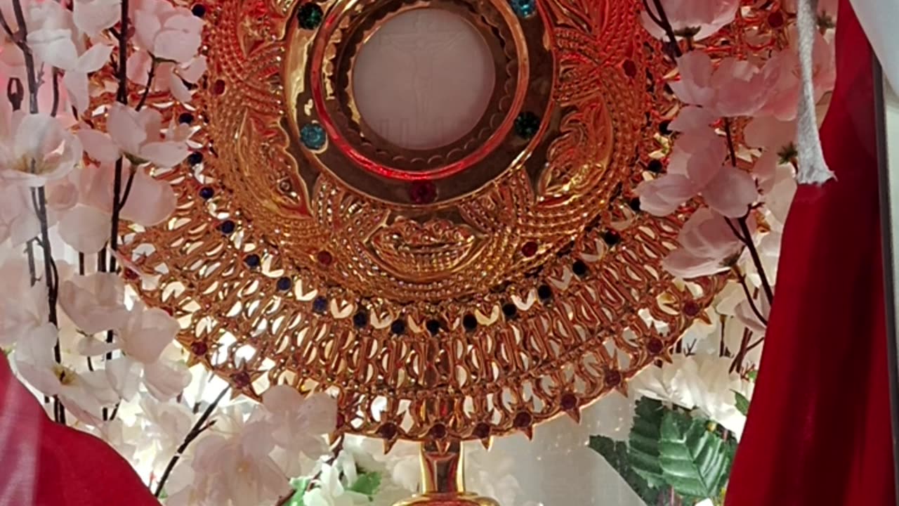Adoration Benediction and Meditation: 25th Miracle of Jesus