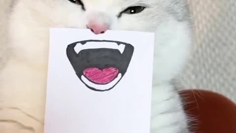 Lovely Cat part 1