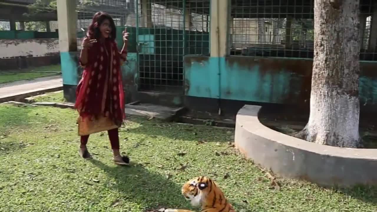 Best of the year Fake Tiger vs Man Prank Video 2021!! by Public Reaction @Ting Fun Prank