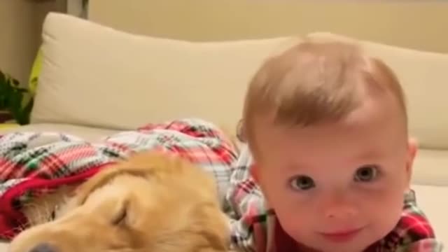 cute baby and dog sharing love and sleeping like brothers