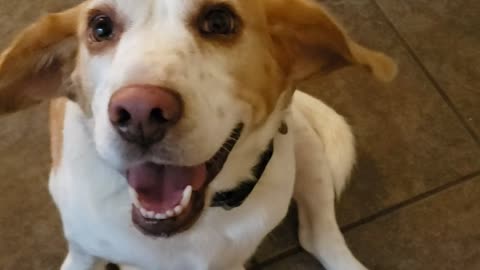 A miracle is a change in consciousness