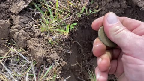 1797 Cartwheel Penny Metal Detecting