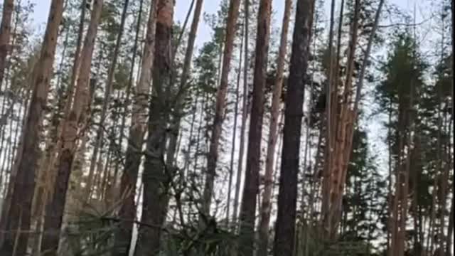 "Mykola, we need to leave"
