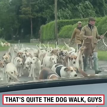 My boss will never believe this excuse for being late to work