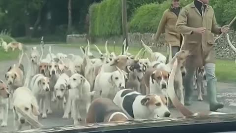 My boss will never believe this excuse for being late to work