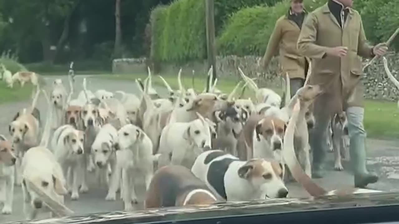 My boss will never believe this excuse for being late to work