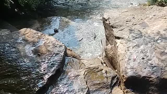 Nature