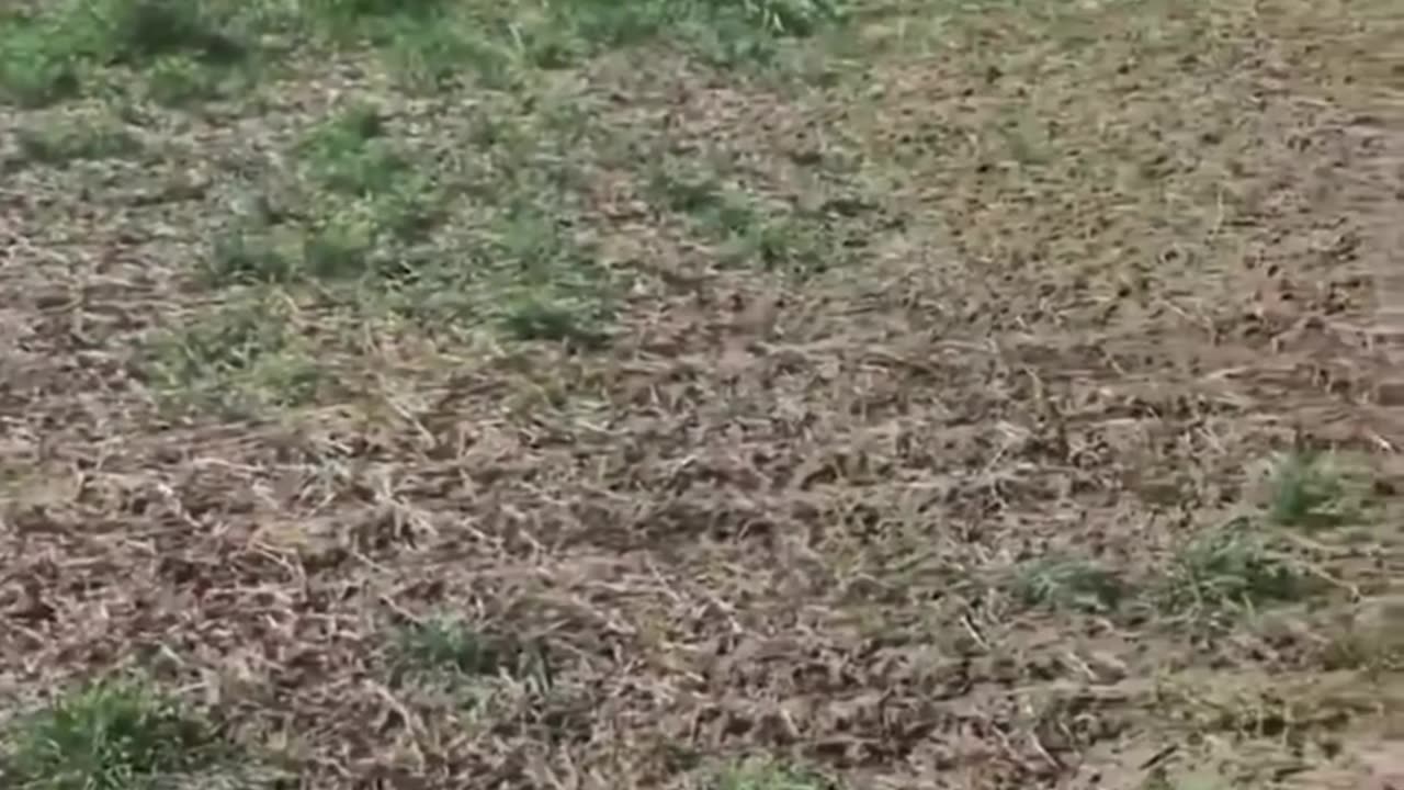 plan crash
