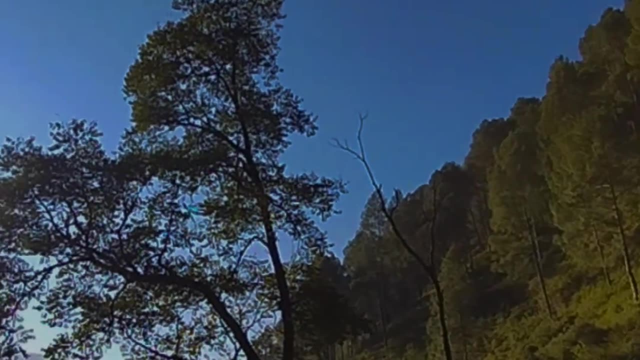 Beauty of 🗻 hill