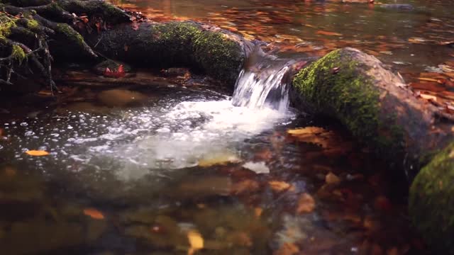 Nature. spring, thawed stream.