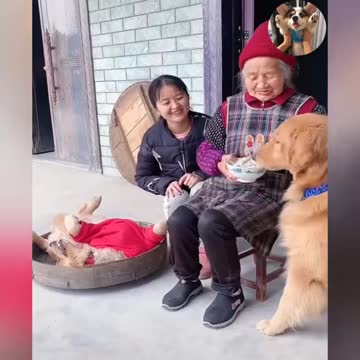 There is always a child in the house like no other 🤣🤣