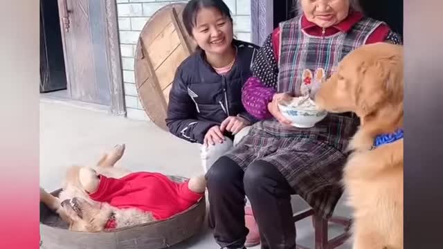 There is always a child in the house like no other 🤣🤣