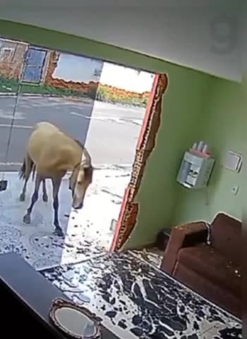 Smash and grab 🤣🤣