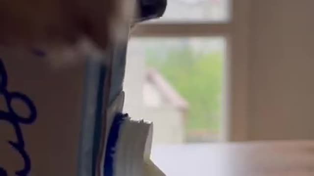 4.How does this happen_ 😜 #shorts