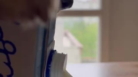 4.How does this happen_ 😜 #shorts