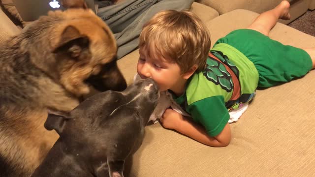 Boy shares treat with pit-bull