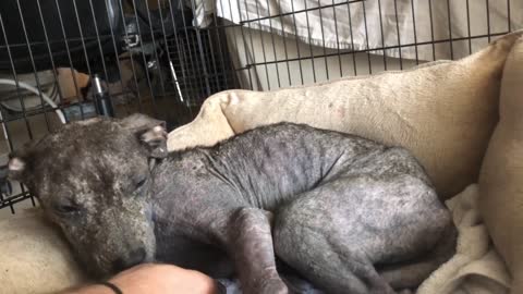 Cyborg the other mange boy.