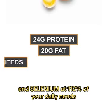 They LIE to you about EGGS