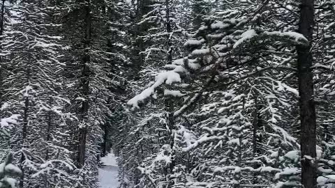 Snow in Alaska