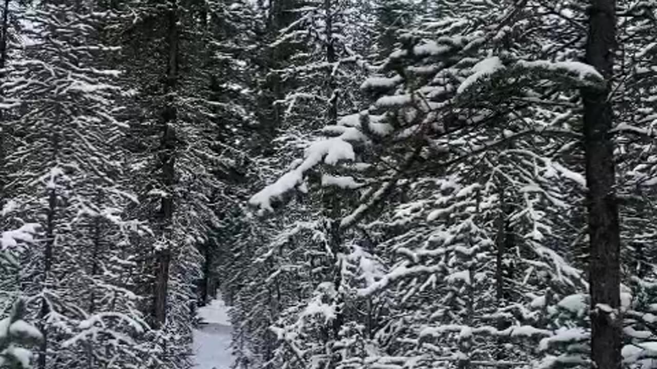 Snow in Alaska