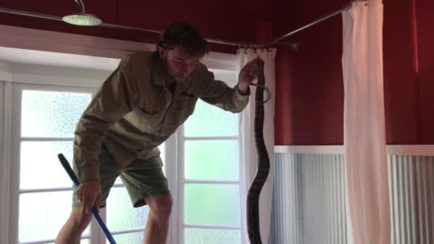 Catching a Snake, Literally