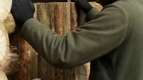 Building a Log Cabin in the Woods from Wind-Fallen Trees