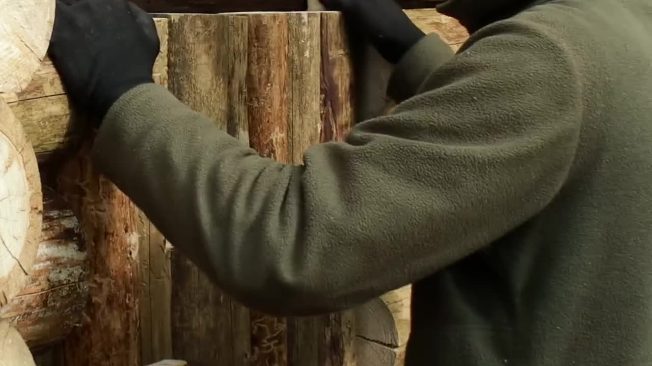 Building a Log Cabin in the Woods from Wind-Fallen Trees