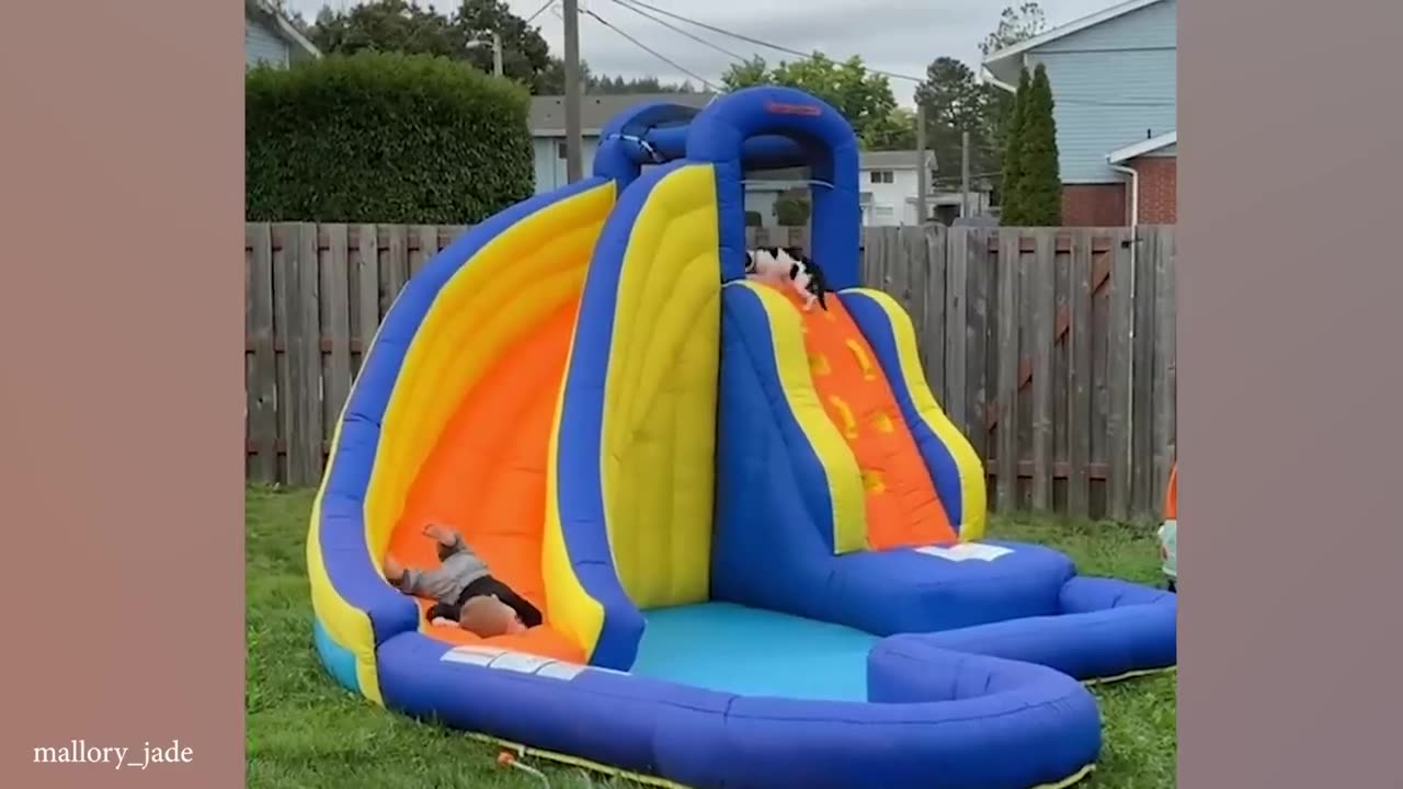 When your cat is the best babysitter Cute cats and little human