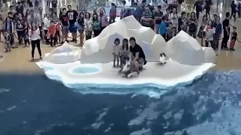 Fake water animals