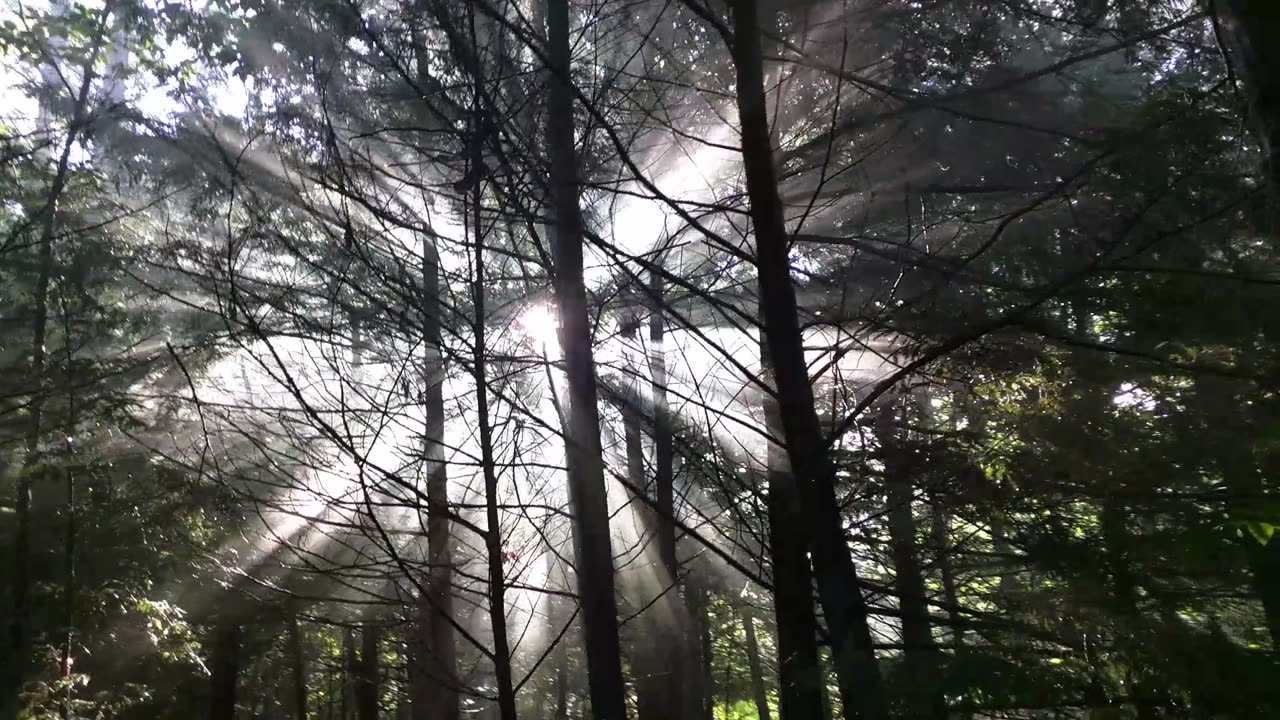 Smoke and sun rays
